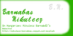 barnabas mikulecz business card